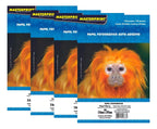 Papel Fotográfico Adesivo A4 Glossy 130g 300 Fls Masterprint Cor Branco